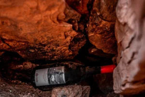 Cantina Mas dei Chini Trento - Daniele Bolgia Fotografia